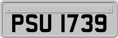 PSU1739