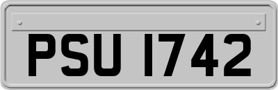 PSU1742