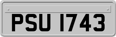PSU1743