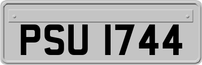 PSU1744
