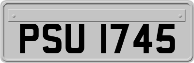 PSU1745