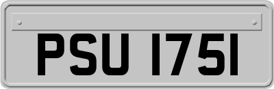PSU1751