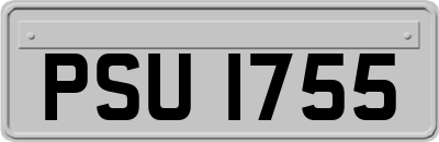 PSU1755