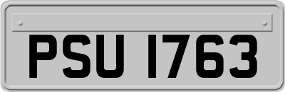 PSU1763