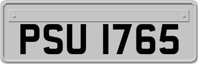 PSU1765