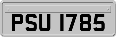 PSU1785