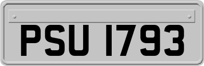 PSU1793