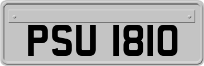 PSU1810