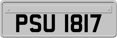 PSU1817