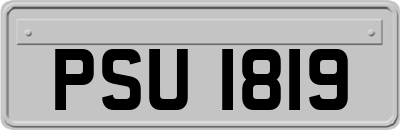PSU1819