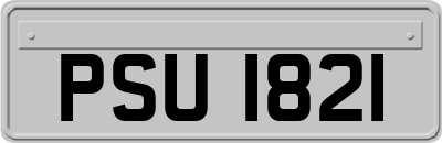 PSU1821