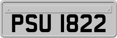 PSU1822