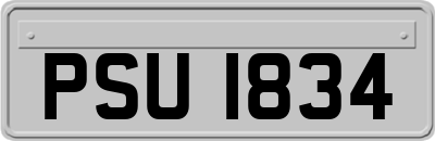 PSU1834