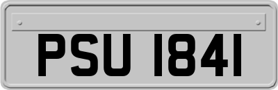 PSU1841