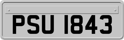 PSU1843