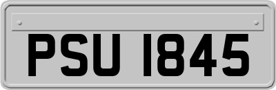 PSU1845