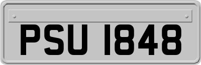 PSU1848