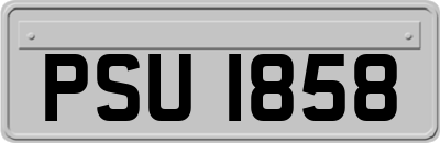 PSU1858