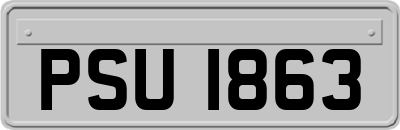 PSU1863