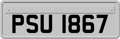 PSU1867