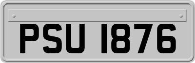 PSU1876