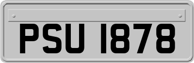 PSU1878