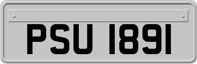 PSU1891