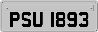 PSU1893