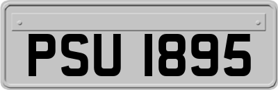 PSU1895