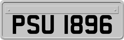 PSU1896