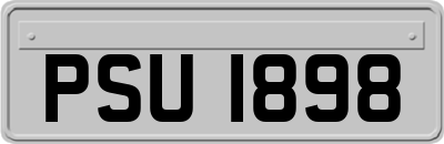 PSU1898