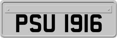 PSU1916