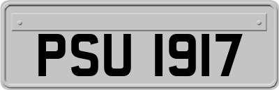 PSU1917