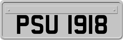 PSU1918