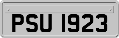 PSU1923