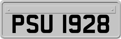PSU1928