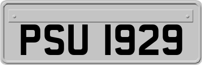 PSU1929