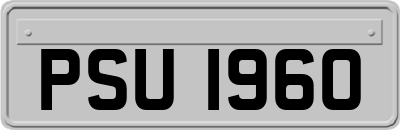 PSU1960