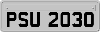 PSU2030