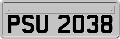 PSU2038