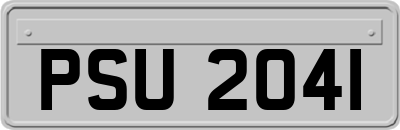 PSU2041