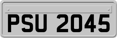 PSU2045