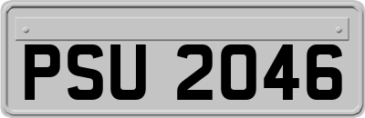 PSU2046