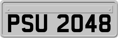 PSU2048