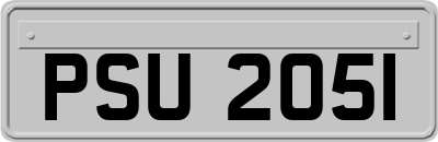 PSU2051