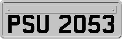 PSU2053