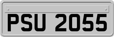 PSU2055