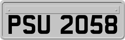 PSU2058
