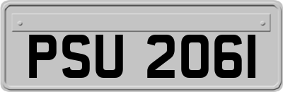 PSU2061