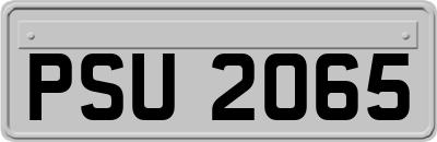 PSU2065